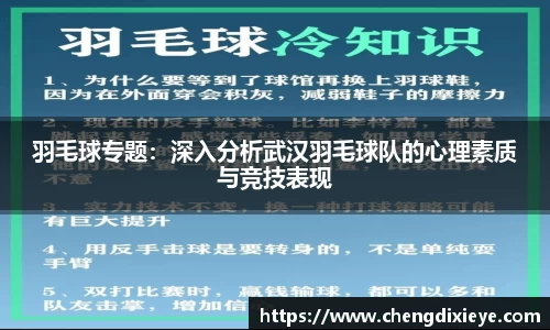 羽毛球专题：深入分析武汉羽毛球队的心理素质与竞技表现