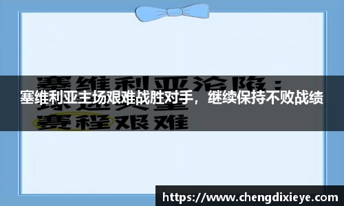 OE欧亿