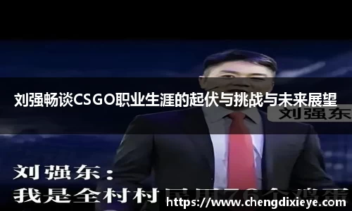 刘强畅谈CSGO职业生涯的起伏与挑战与未来展望