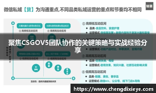 聚焦CSGOV5团队协作的关键策略与实战经验分享