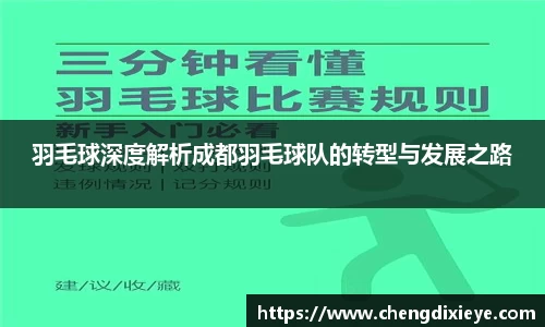 羽毛球深度解析成都羽毛球队的转型与发展之路