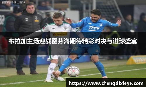 OE欧亿官方网站